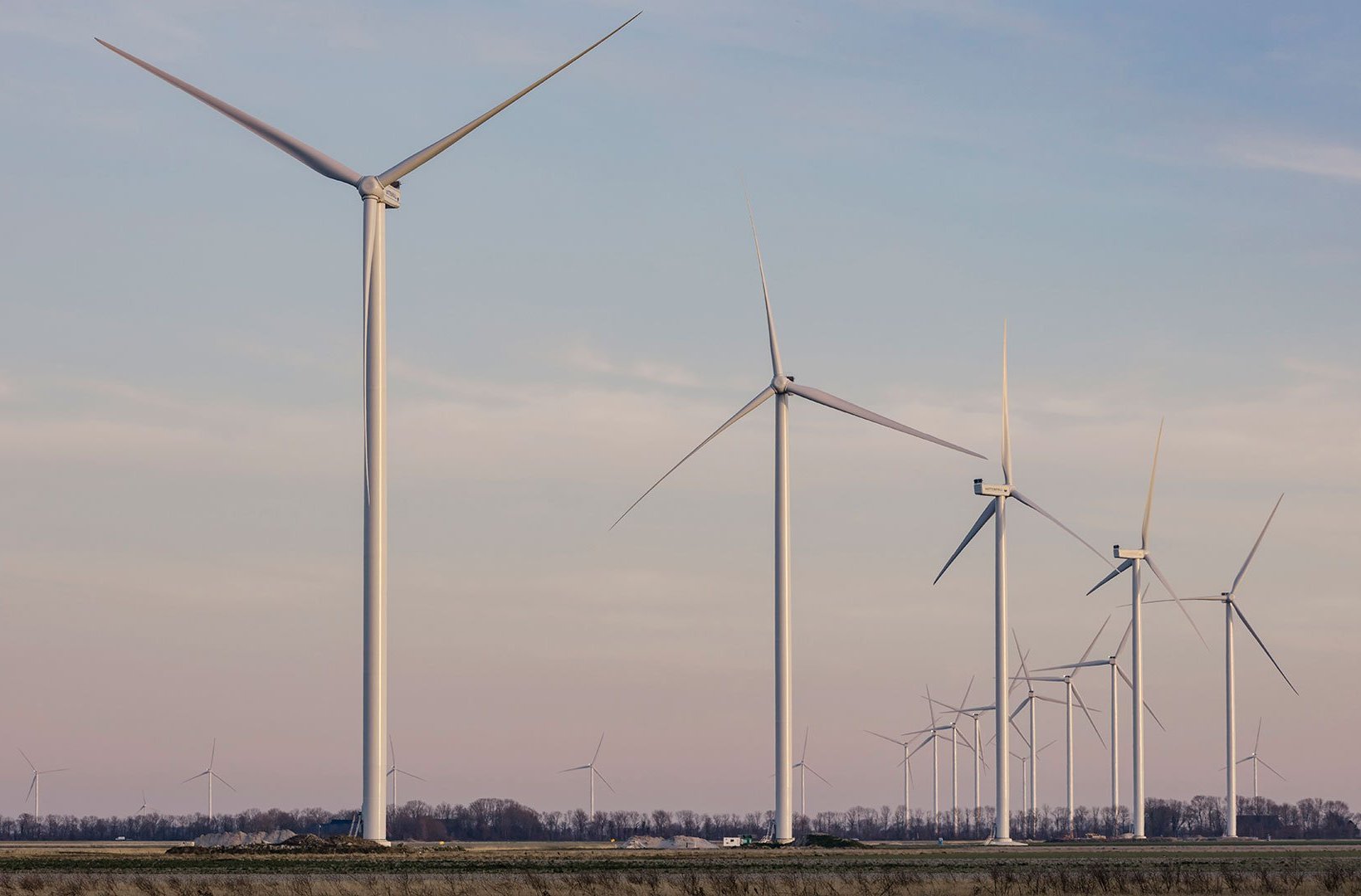 Wieringermeer windfarm. Photo: jlousberg
