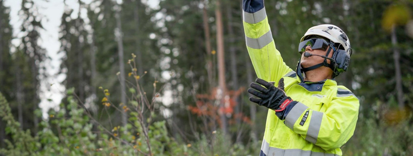 A man dressed in high-visibility clothing and a hardhat in a forest.