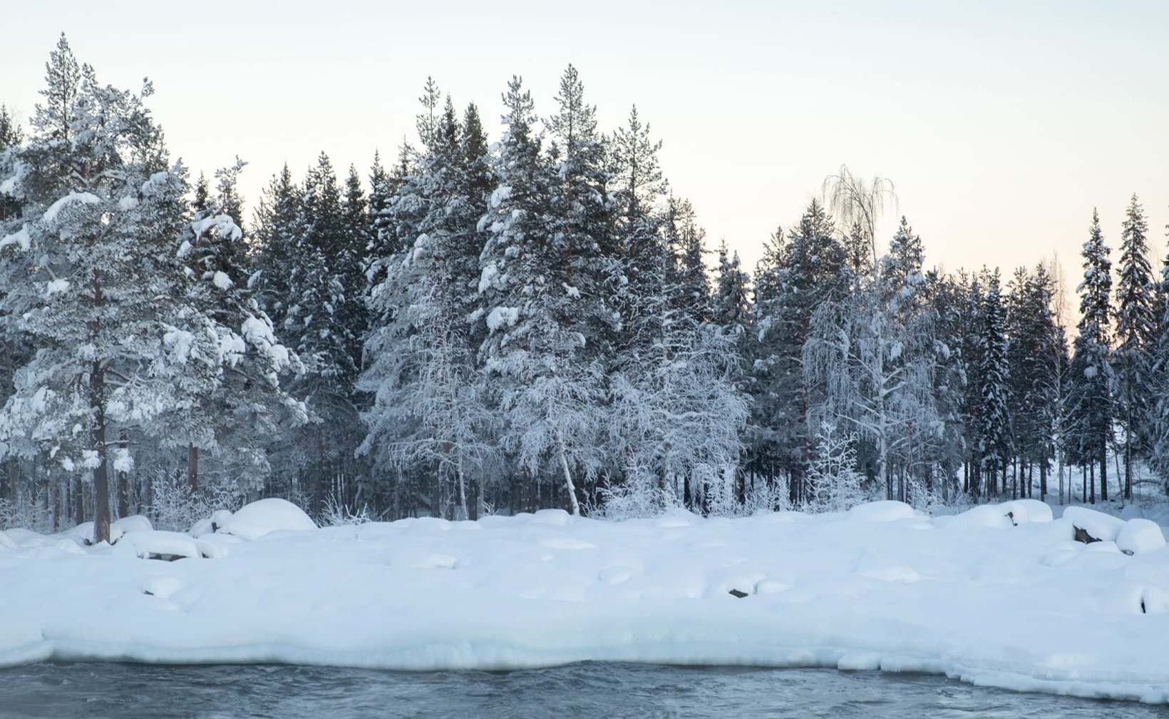 Snow-covered forest next to a river.