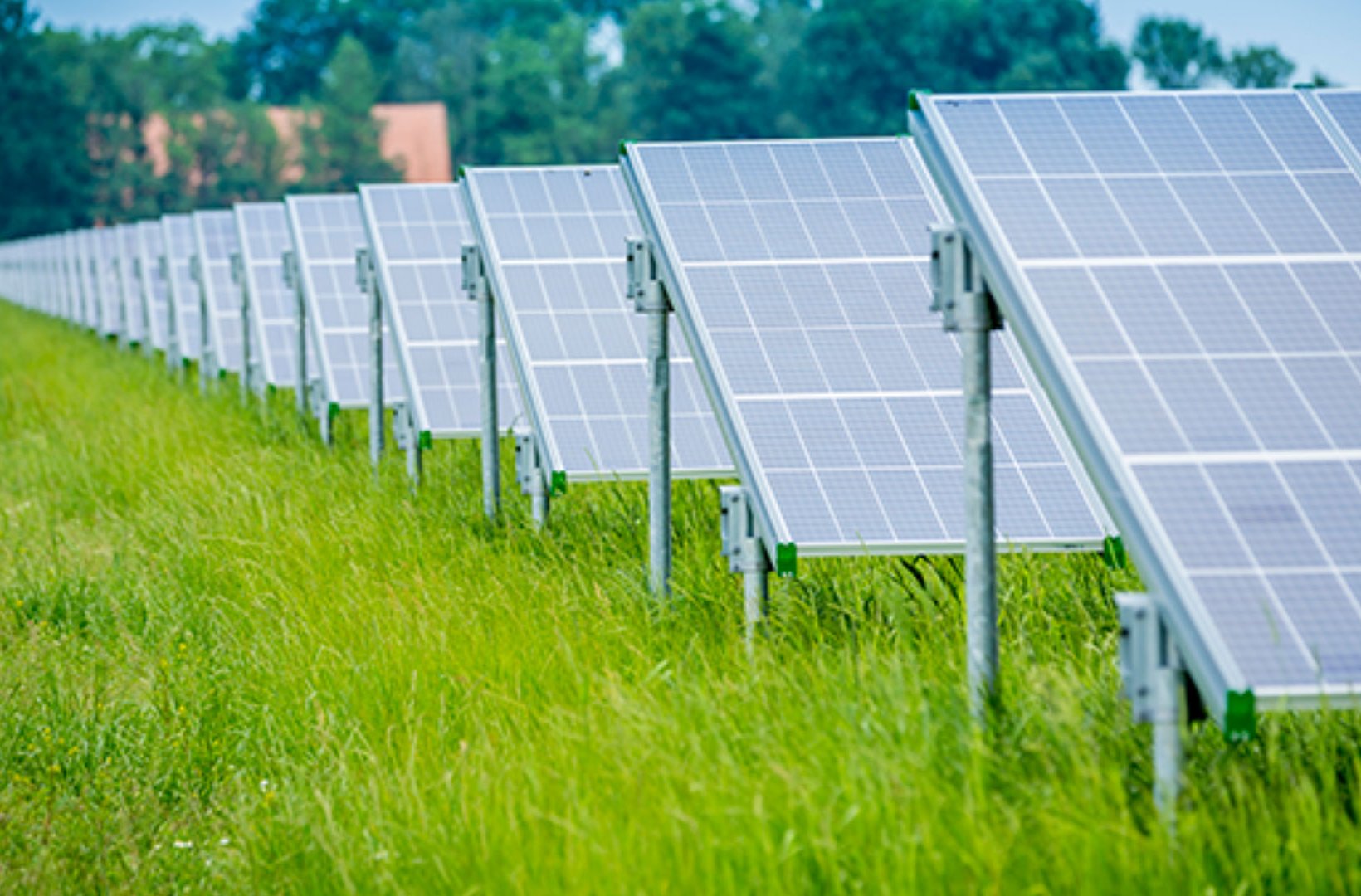 Solar panels in a green field
