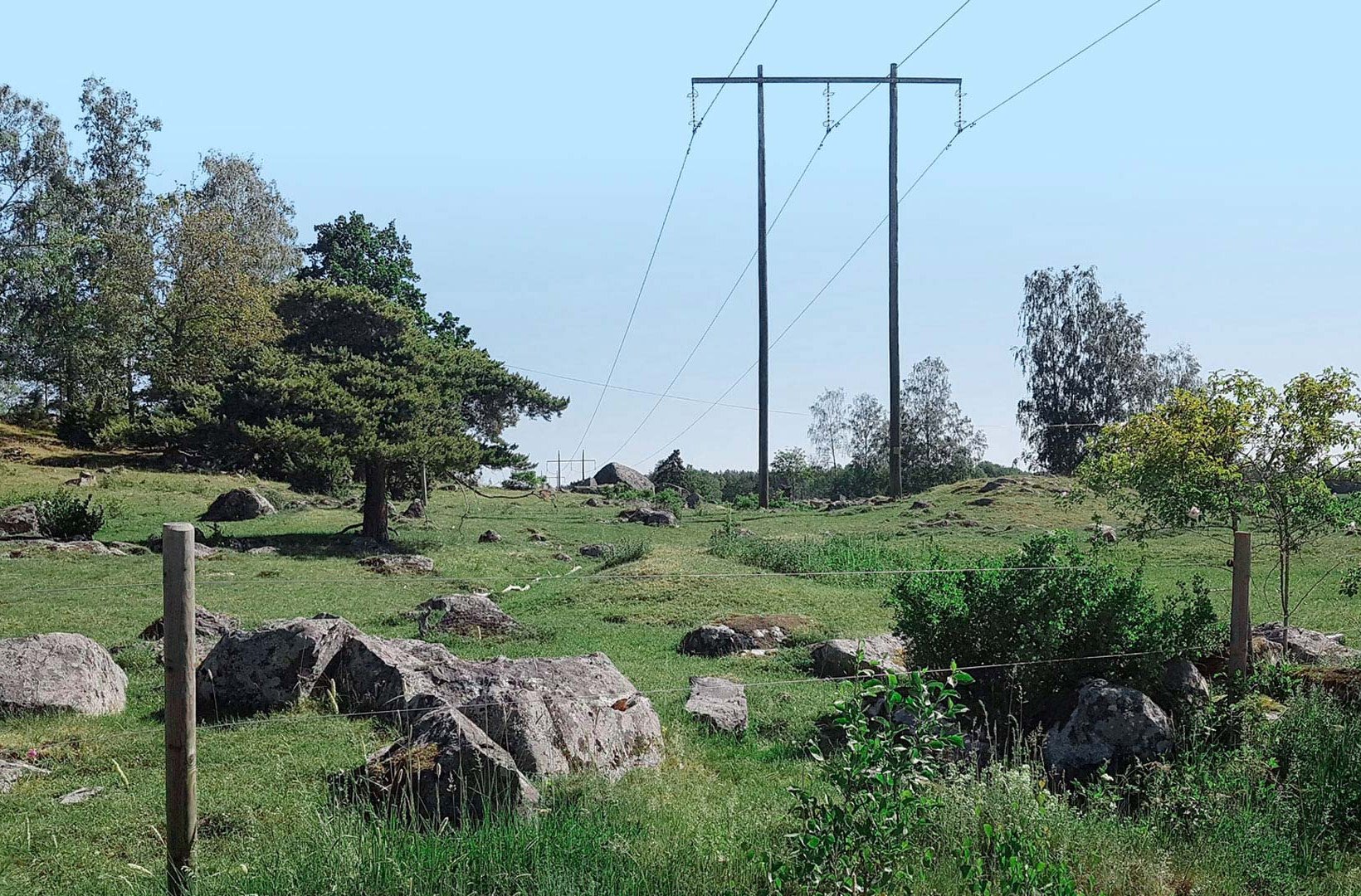 Power lines across a green field