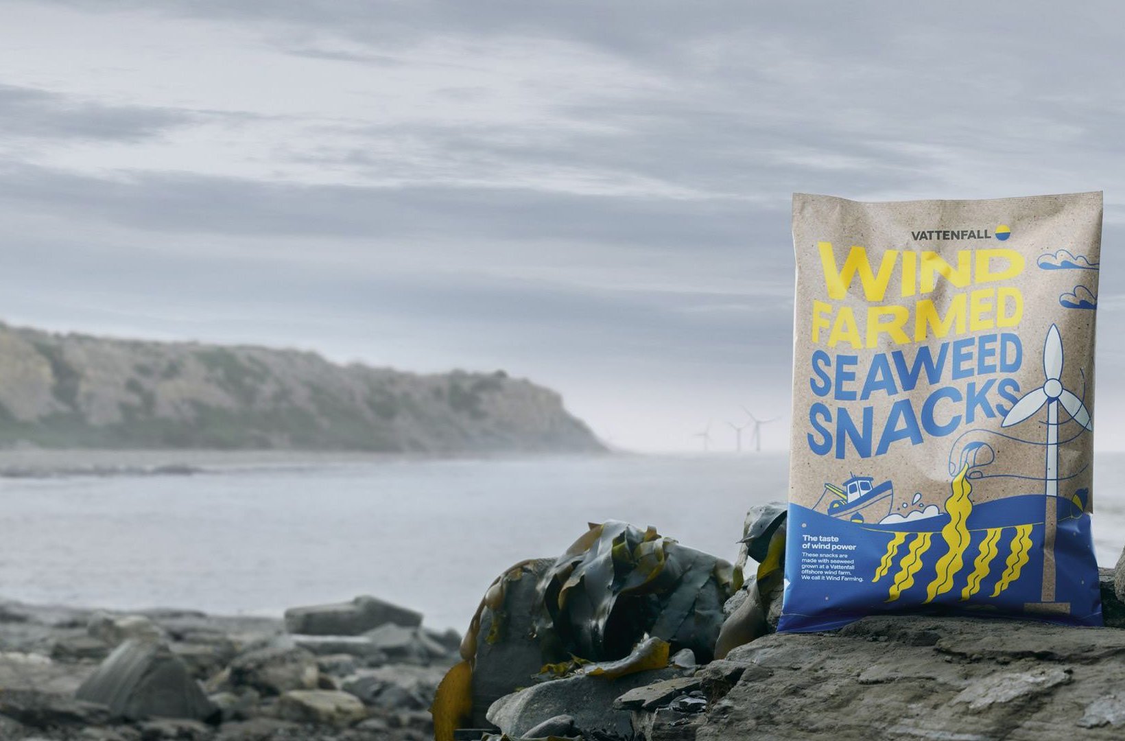 A bag of seaweed snacks A bag of seaweed snacks
