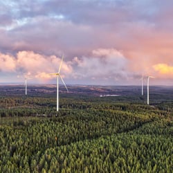 Wind turbines in a forest landscape beneath dramatic clouds bathed in pink and golden evening light.