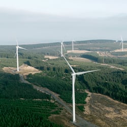 Wind turbines in a forested landscape.