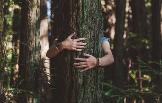 A person hugging a tree