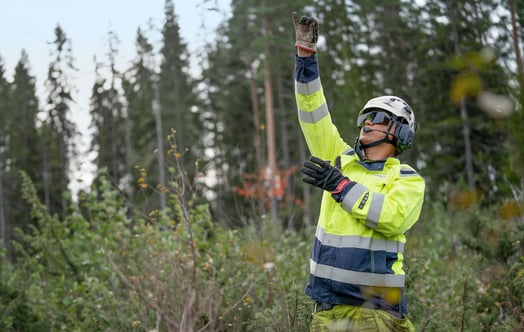 Field worker in high‑visibility clothing in a forest.