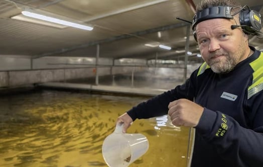 Fish farm manager Henri Heimonen in front of fish farm pool.