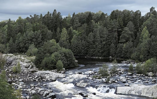 River and woods near Älvkarleby hydro power plant