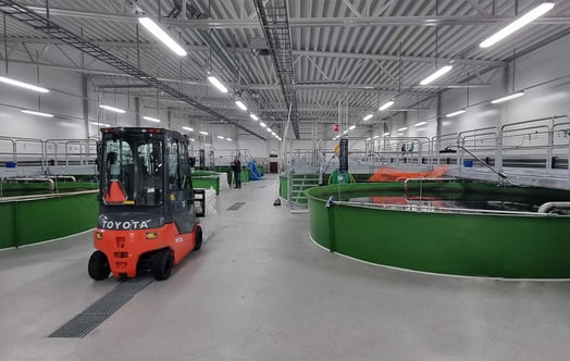 Vattenfall's fish farm in Heden