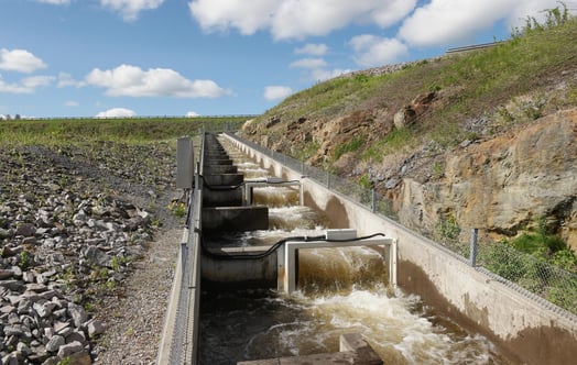 Fish ladder