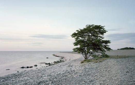 A shingle beach on the island of Gotland