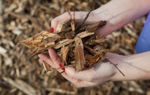 Woodchips in a biomass plant