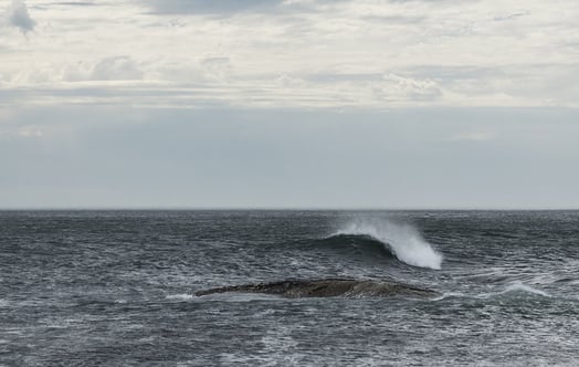 Waves at sea