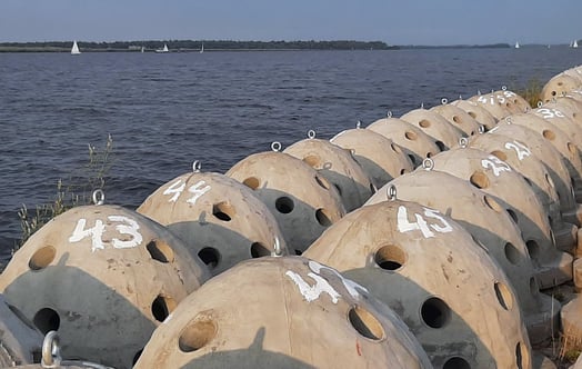 Reef balls. Photo: Doggerland Offshore