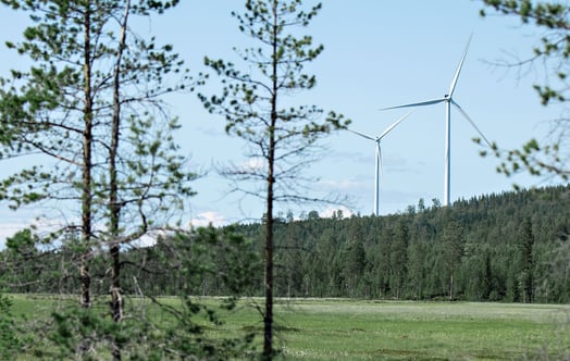 Two wind turbines in a forest landscape