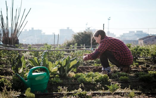 Young woman gardening in an urban garden