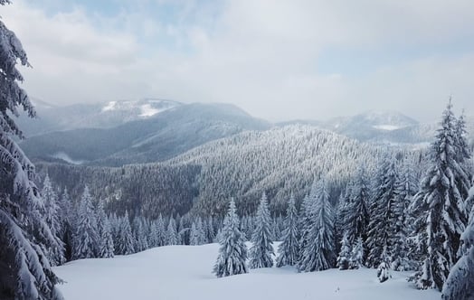 Winter landscape