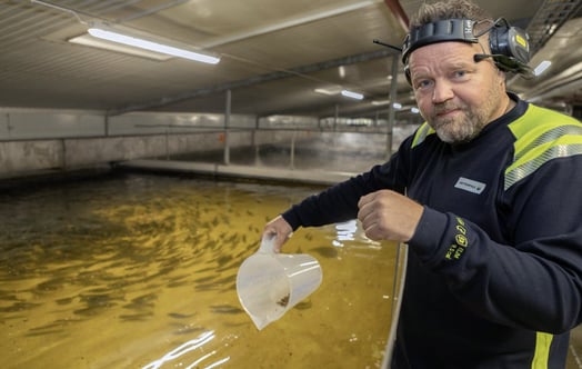 Fish farm manager Henri Heimonen Fish farm manager Henri Heimonen