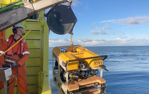 Surveying marine growth with a remote-controlled tool