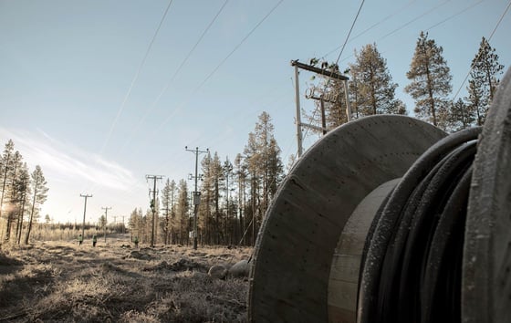Cable reel near power lines in a frosty forest landscape.