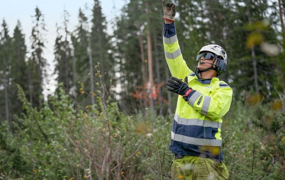 Field worker in high‑visibility clothing in a forest.