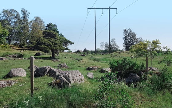 Power lines across a green field