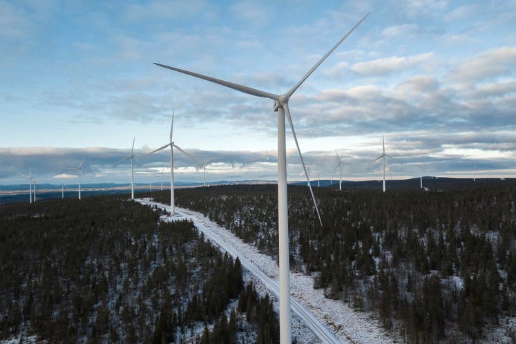 Wind turbines rising above a snow-covered forest.