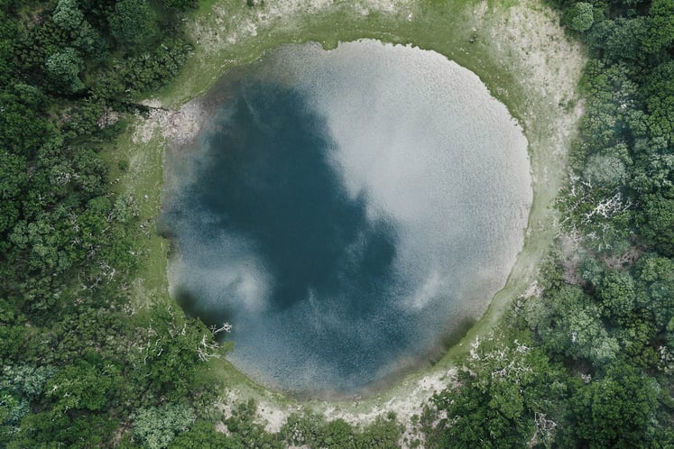 Aerial view of a circular pond surrounded by lush green trees