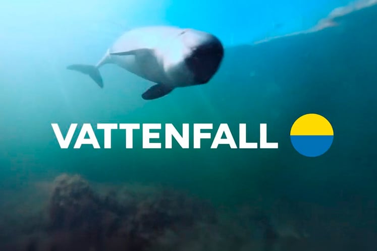 Dolphin underwater with Vattenfall logo.