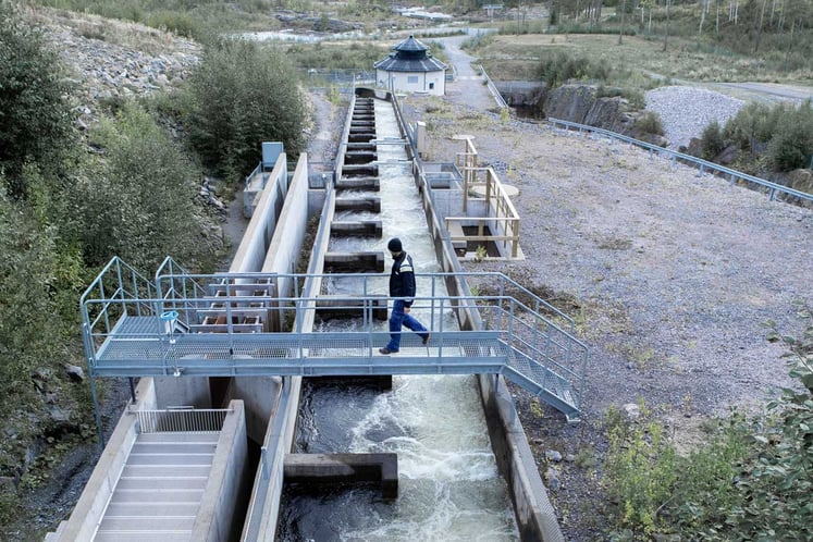 View of a fish ladder