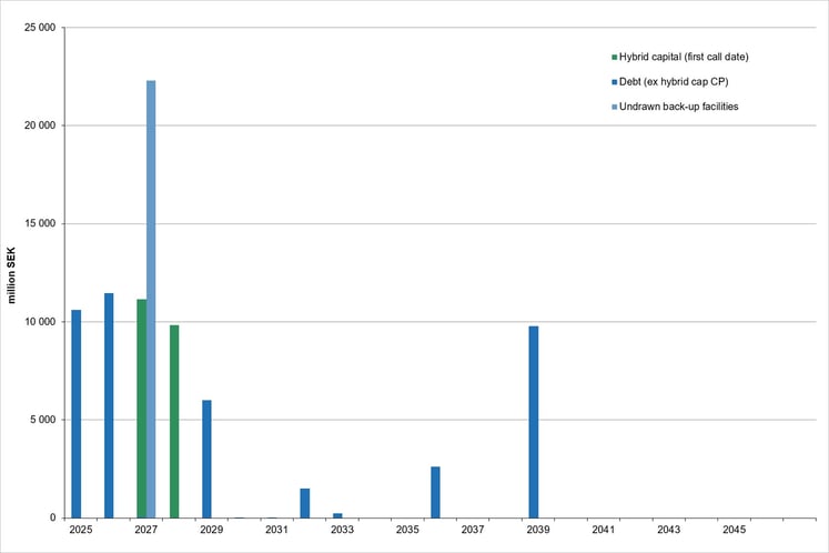 Debt maturity profile as of 30 June 2025