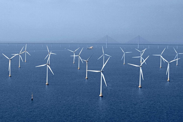 The Lillgrund wind farm in Sweden