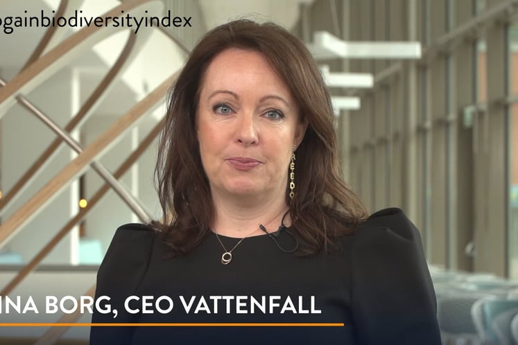 Screenshot of Vattenfall CEO Anna Borg in Ecogain video