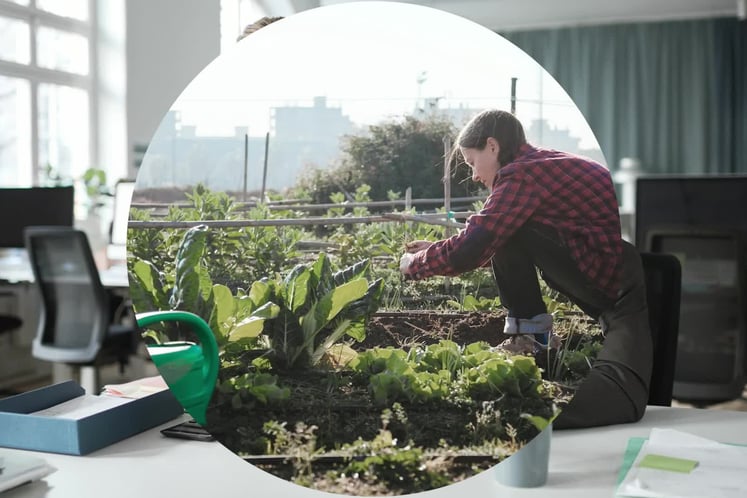 Collage of two images: an office and a woman tending to her plants