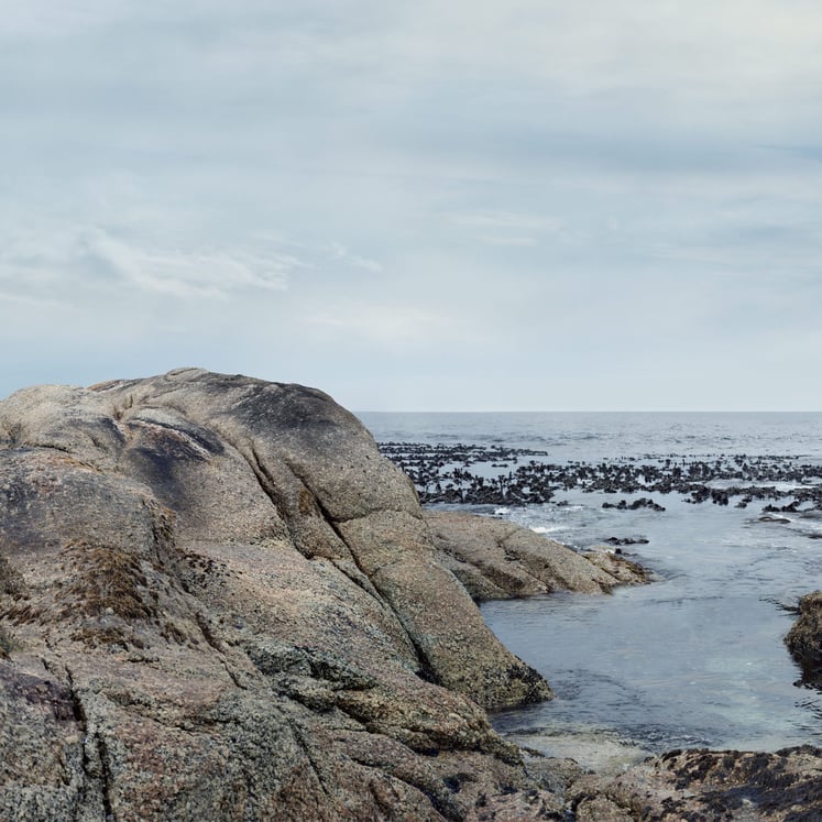 Rocks on the beach