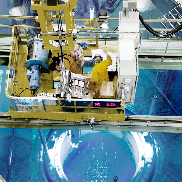 View into a nuclear power plant cooling pond 