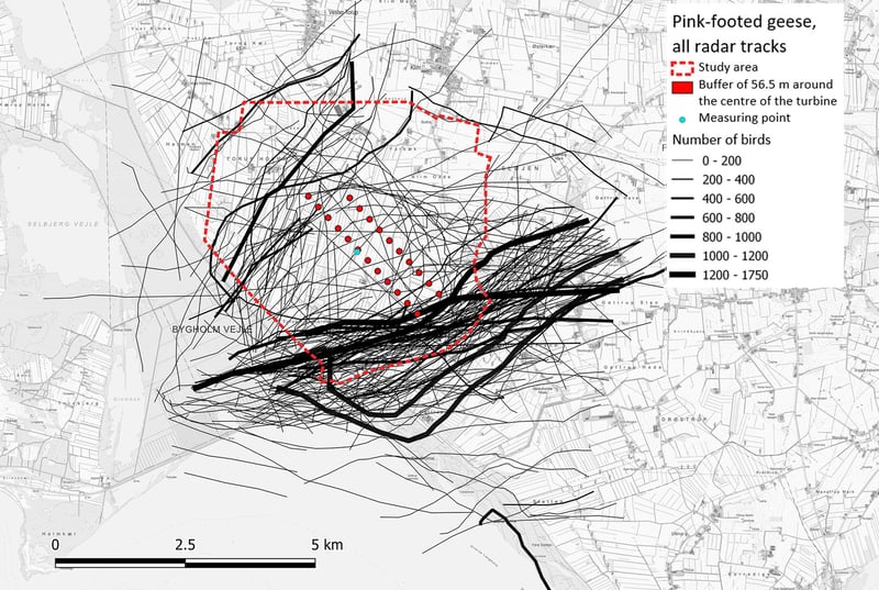 Trajectory of pink-footed geese registered using radar with variations in width according to flock size. The red markings comprise the turbines and the study area.