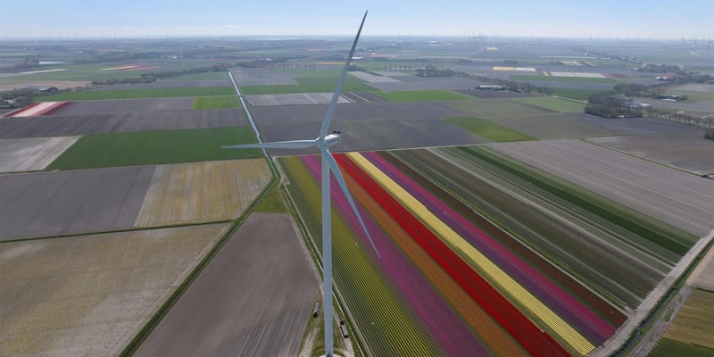 Wind turbine in colourful flower field.
