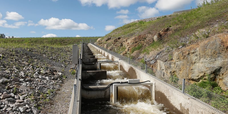Fish ladder Fish ladder