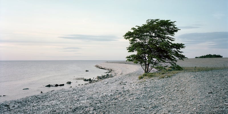 A shingle beach on the island of Gotland A shingle beach on the island of Gotland
