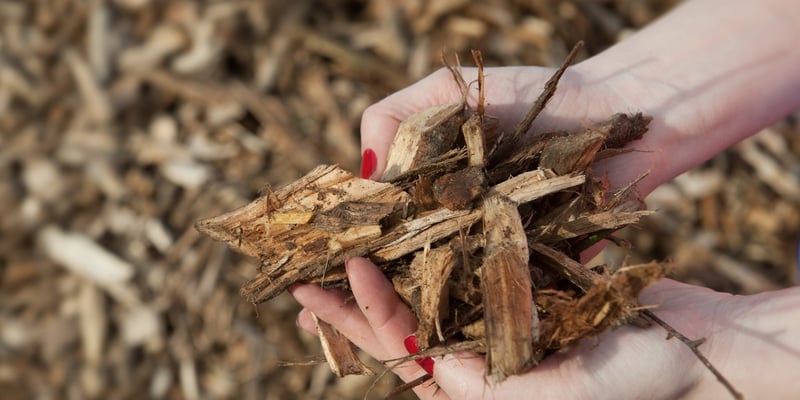 Woodchips in a biomass plant Woodchips in a biomass plant