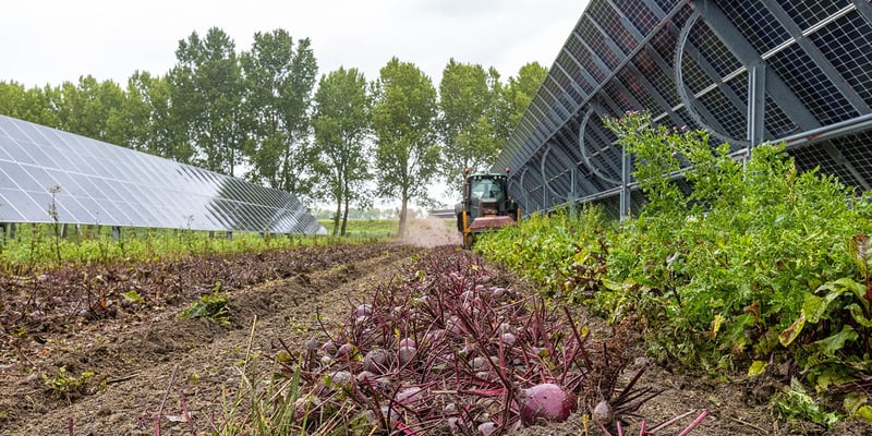 Solar panels installed above cultivated farmland, with a tractor working between rows of crops. Solar panels installed above cultivated farmland, with a tractor working between rows of crops.
