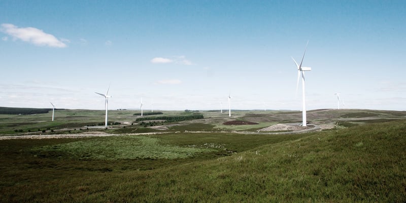 Ray wind farm in the UK