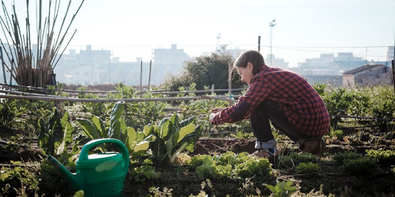 Young woman gardening in an urban garden Young woman gardening in an urban garden