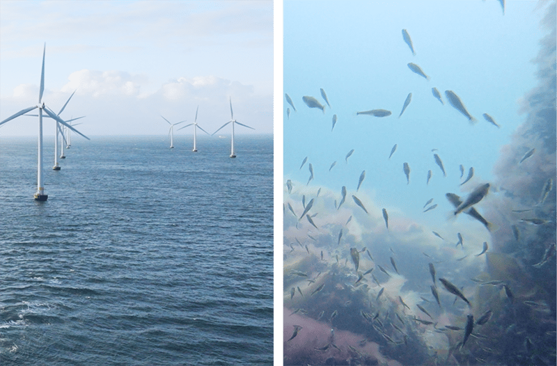 Windpark Lillgrund, above and below surface