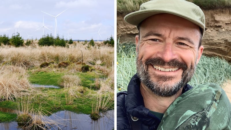 Two-part picture. A willow tree on the left, wind turbines in the background. Robin Cox on the right. Photo: Robin Cox