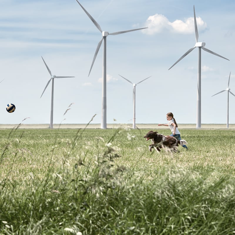 Girl and a dog chasing a ball in a meadow - Photo: Vattenfall