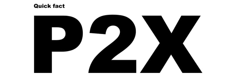 Text image - P2X