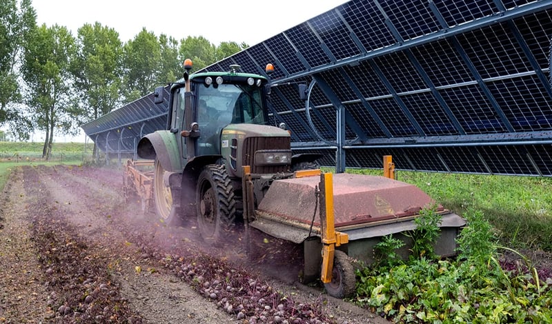 Food and energy farmed side by side