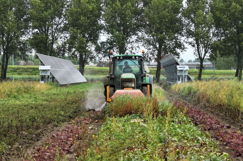 Tractor harvesting crops